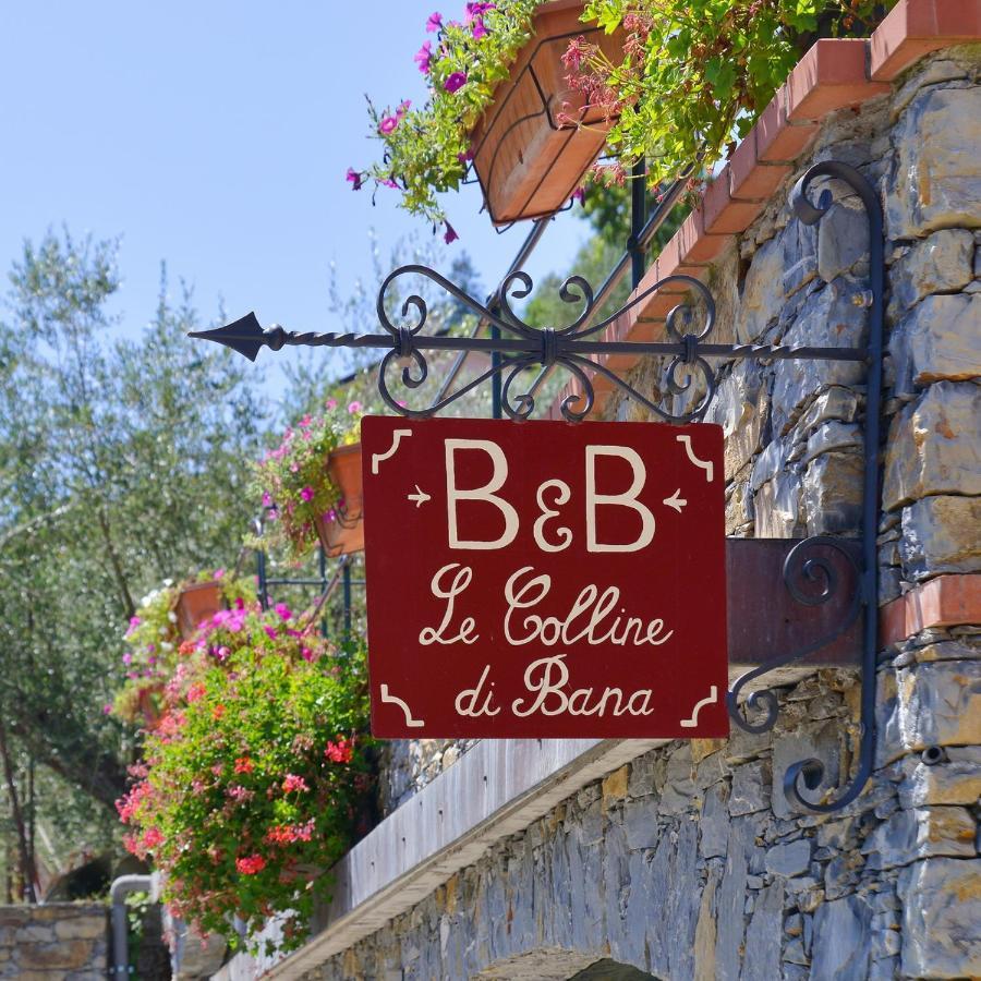 B&B Le Colline Di Bana Камольи Экстерьер фото
