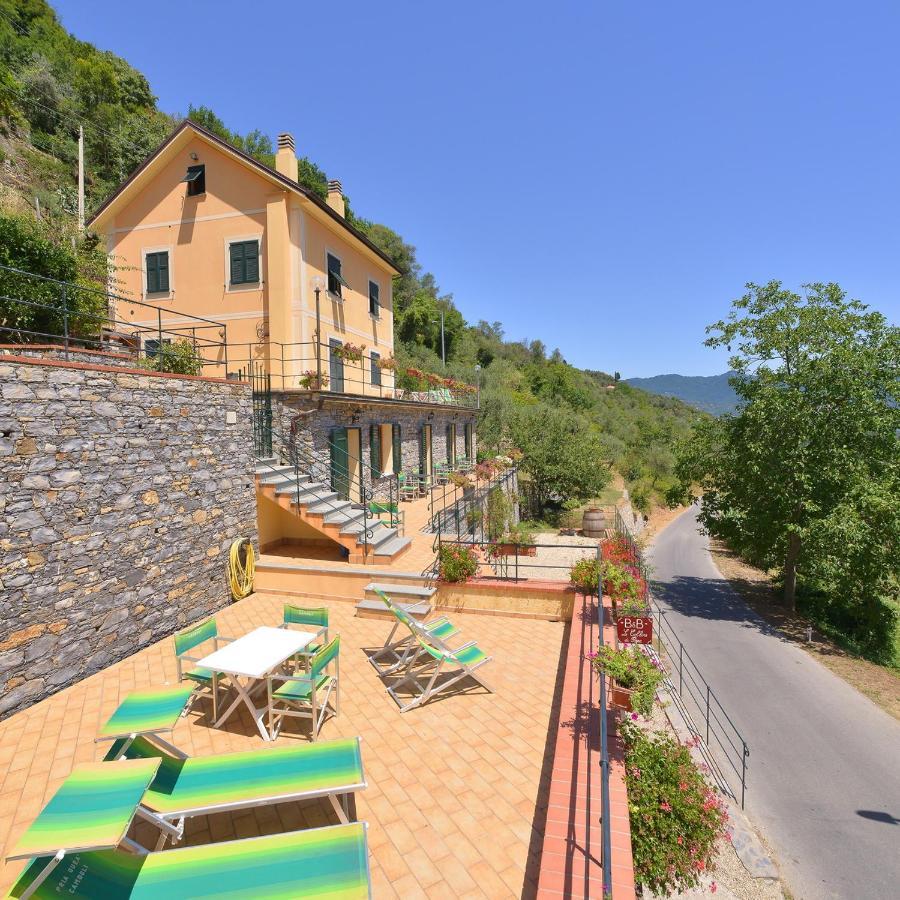 B&B Le Colline Di Bana Камольи Экстерьер фото