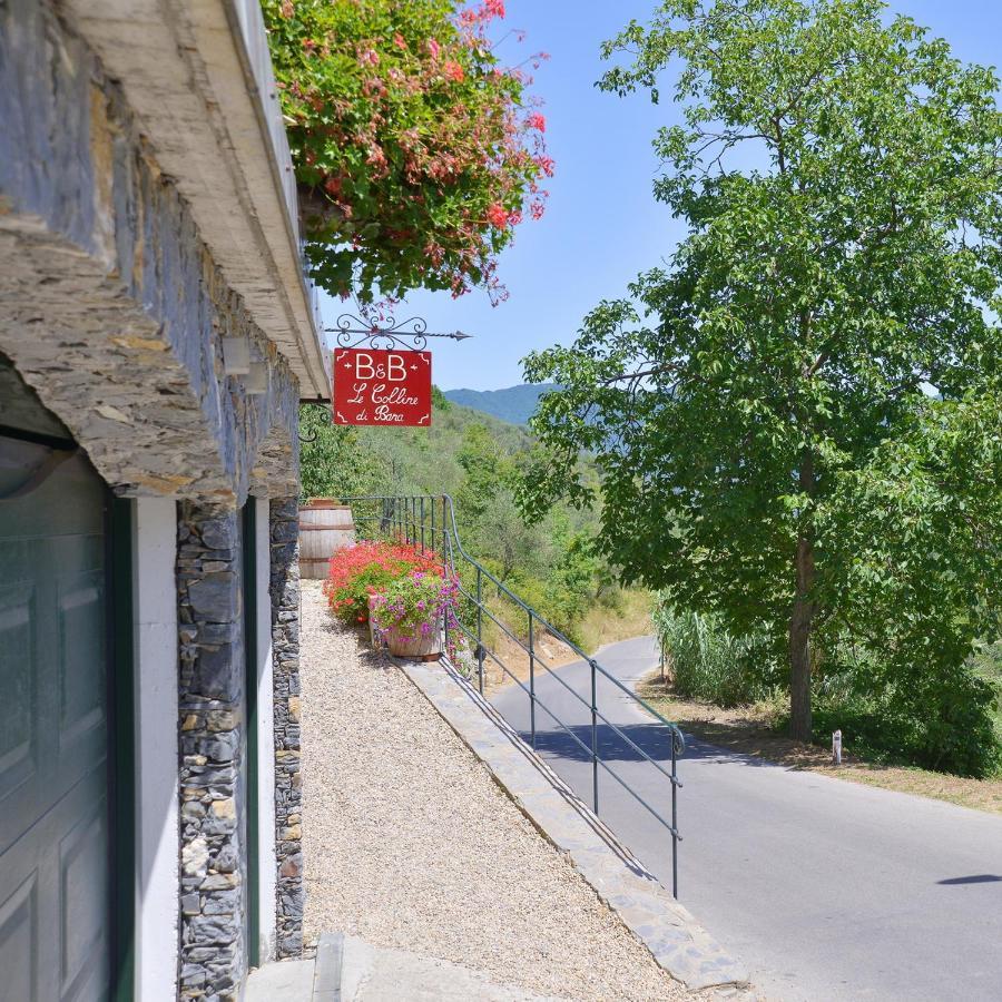 B&B Le Colline Di Bana Камольи Экстерьер фото